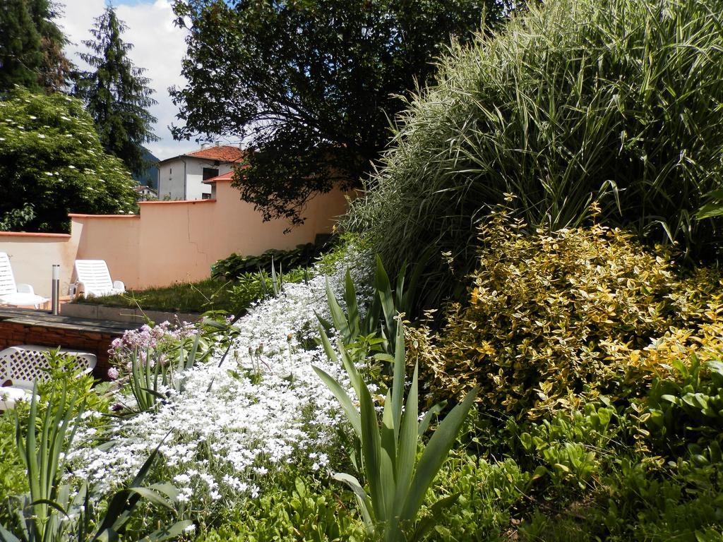 Guest House Zora Belogradčik Exteriér fotografie